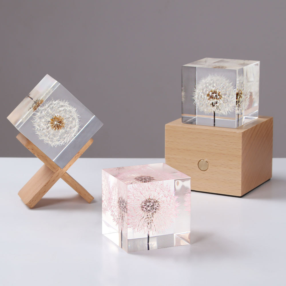 Dandelion preserved fresh flow - đánh giá và giá Flower Preservation Resin