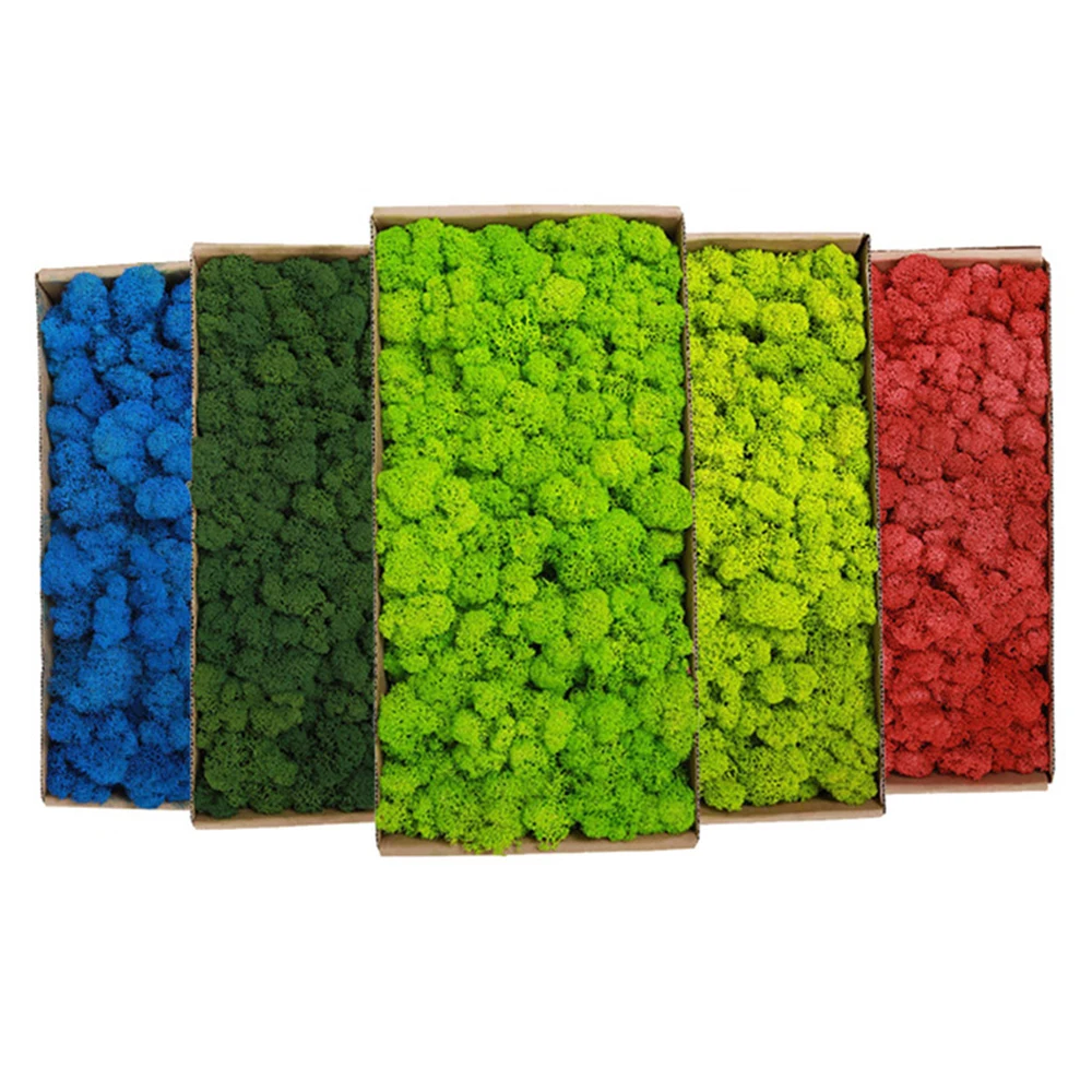 20-200g Artificial Green Plant - đánh giá và giá Terrarium Moss Art
