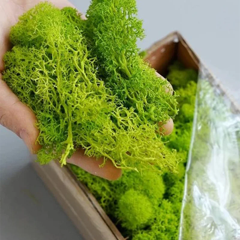 20-200g Artificial Green Plant - đánh giá và giá Terrarium Moss Art