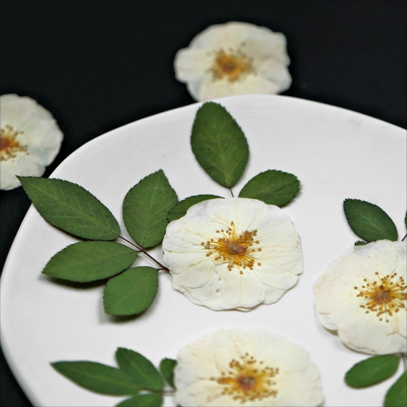 6pcs,9pcs,Nature White Rose Pr - đánh giá và giá Dried Flower Bulk