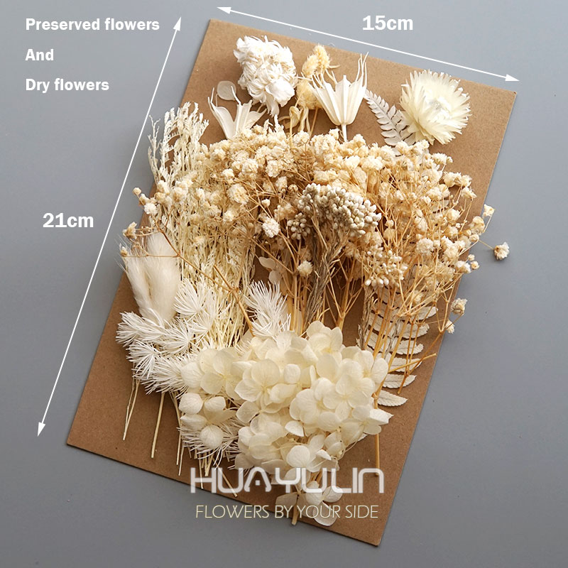 1 Pack Artificial Plants Dried - đánh giá và giá Flower Preservation Resin
